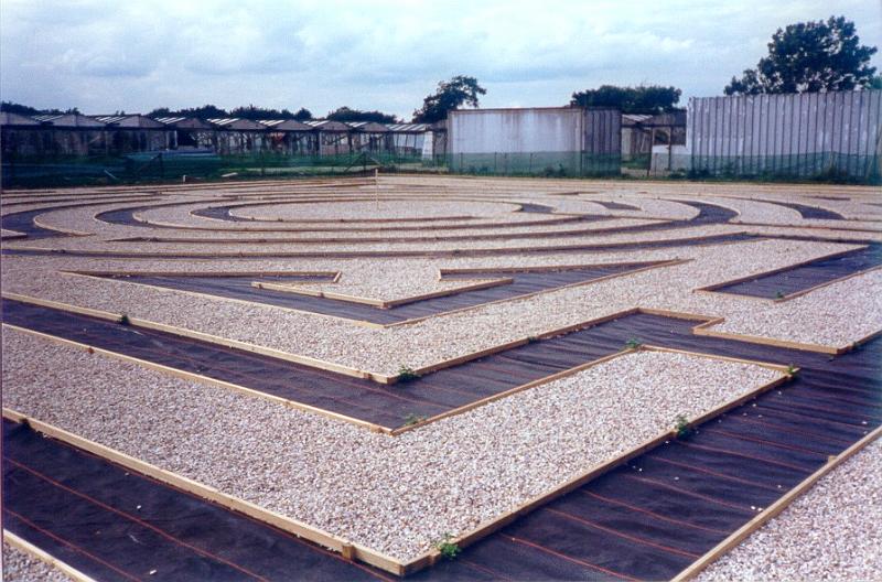 m2.jpg